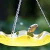 Birds Choice Hanging Acrylic BirdBath Hanging Bird Baths 2 Birds Choice Hanging Acrylic BirdBath Hanging Bird Baths