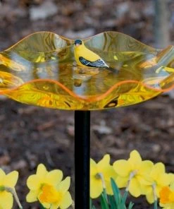 Birds Choice Staked & Pedestal Bird Baths Acrylic Bird Bath On Pole