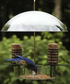 Birds Choice Super Dome Bird Feeder