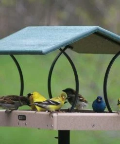 Birds Choice Large Fly-Thru Platform Feeder - Recycled Plastic