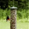 Birds Choice Shelled Peanut Feeder Peanut Feeders