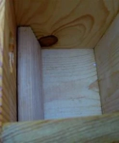 The Birdhouse Chick Unique Birdhouses Traditional Nest Box