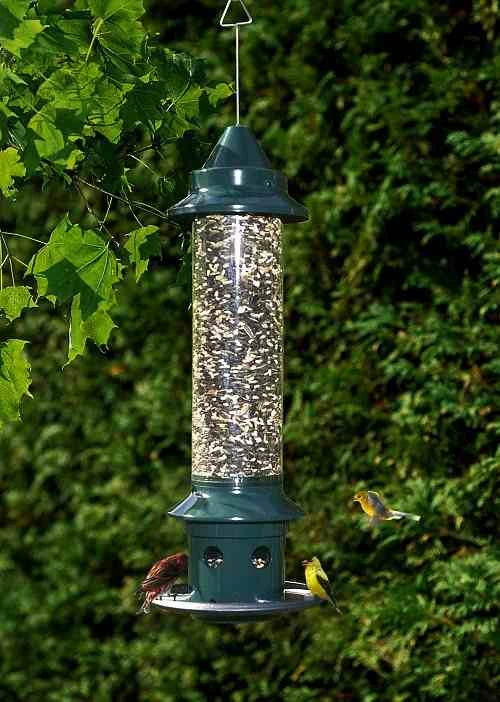 Brome Bird Care Squirrel Buster Plus With Optional Weather Guard Squirrel-Proof Feeders 3 Brome Bird Care Squirrel Buster Plus With Optional Weather Guard Squirrel-Proof Feeders