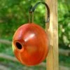 Byer Of Maine Unique Birdhouses Ellipse Wooden Birdhouse- 3 Colors