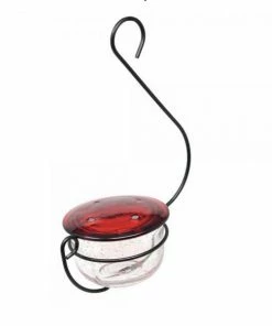 Songbird Essentials Hummingbird Feeders Blown Glass Hummingbird Feeder