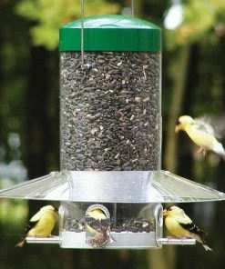 Birds Choice Classic Squirrel Proof Hanging Bird Feeder 12" Squirrel-Proof Feeders