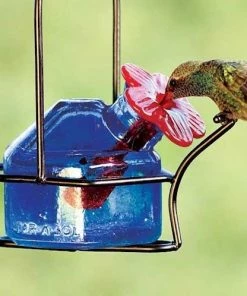 Parasol Hummingbird Feeders Bouquet Sparkle Hummingbird Feeder 9 Parasol Hummingbird Feeders Bouquet Sparkle Hummingbird Feeder