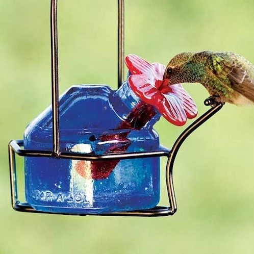 Parasol Hummingbird Feeders Bouquet Sparkle Hummingbird Feeder 5 Parasol Hummingbird Feeders Bouquet Sparkle Hummingbird Feeder