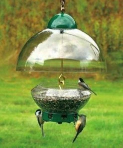 Droll Yankees Big Top Squirrel Proof Bird Feeder Squirrel-Proof Feeders