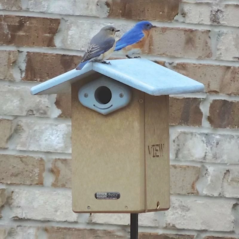 Birds Choice Bluebird Houses Deluxe Reycled Bluebird House-NABS Approved 3 Birds Choice Bluebird Houses Deluxe Reycled Bluebird House-NABS Approved