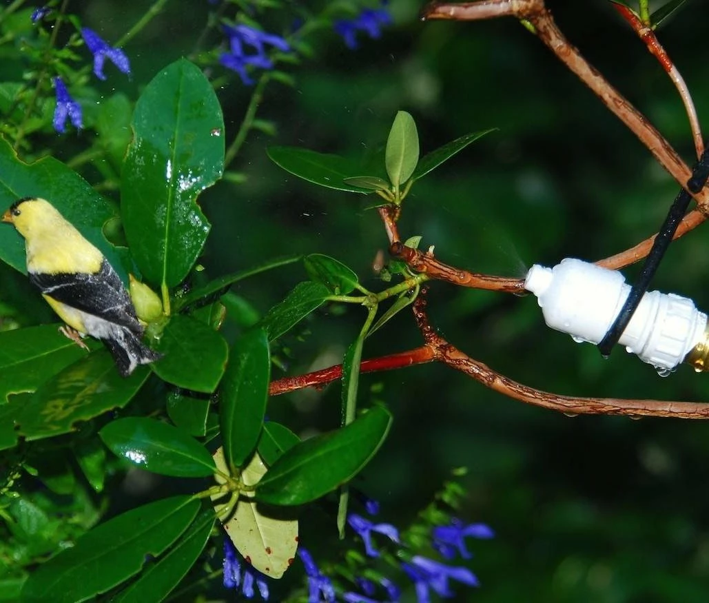 Songbird Essentials Hummingbird Feeders Easy Mister For Bird And Butterflies 3 Songbird Essentials Hummingbird Feeders Easy Mister For Bird And Butterflies