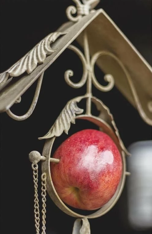 Peacock Park Weathered Scroll Fruit And Suet Feeder Suet Feeders 3 Peacock Park Weathered Scroll Fruit And Suet Feeder Suet Feeders