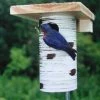 The Birdhouse Chick Bluebird Houses Gilbertson Nest Box - NABS Approved