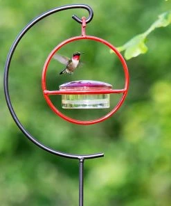 Couronne Red Orb With Perch Hummingbird Feeder