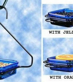 Hiatt Fruit-Jelly-Mealworm Feeder - Hanging
