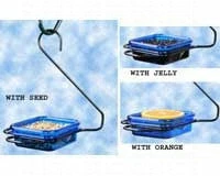 The Birdhouse Chick Mealworm Feeder With Weather Guard Bluebird Feeders