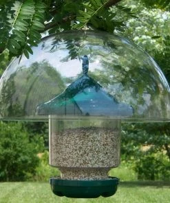 Songbird Essentials Hanging Squirrel Baffle 12-inch