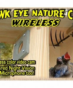Birdhouse Spy Cam Hawk-Eye Wireless Spy Camera For Birdwatching