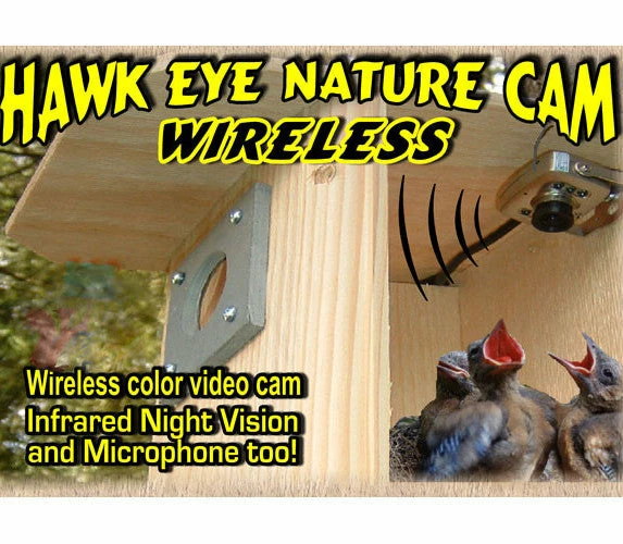 Birdhouse Spy Cam Hawk-Eye Wireless Spy Camera For Birdwatching 3 Birdhouse Spy Cam Hawk-Eye Wireless Spy Camera For Birdwatching