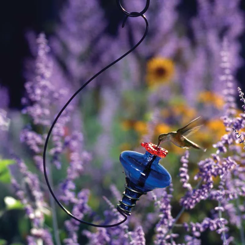 Parasol Hummingbird Feeders Mini-Blossom Hummingbird Feeder-Hanging 3 Parasol Hummingbird Feeders Mini-Blossom Hummingbird Feeder-Hanging