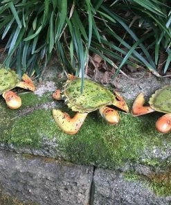 The Birdhouse Chick Mojo Garden Turtles Set/3