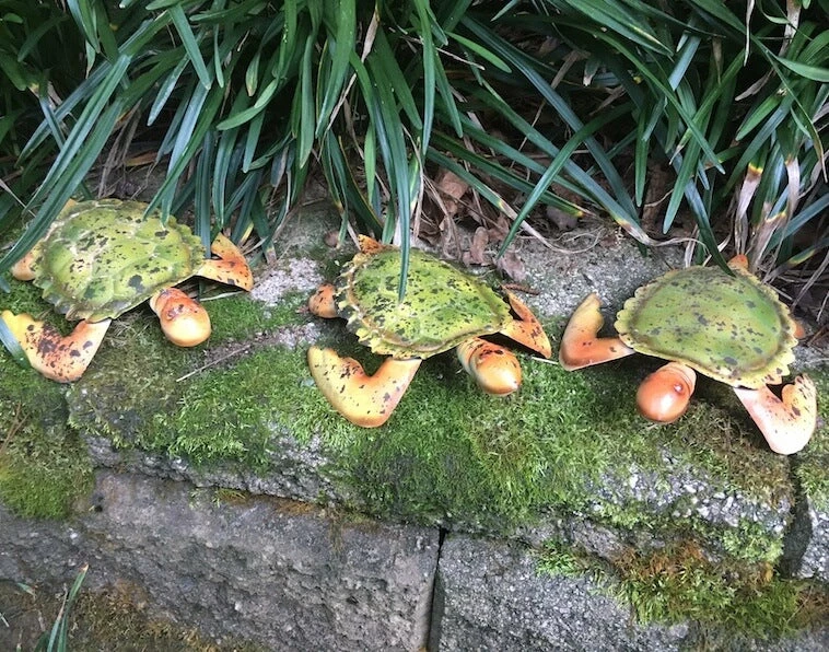 The Birdhouse Chick Mojo Garden Turtles Set/3 4 The Birdhouse Chick Mojo Garden Turtles Set/3