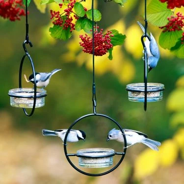 Couronne Orb Mealworm & Multi-Use Bird Feeder Unique Bird Feeders 4 Couronne Orb Mealworm & Multi-Use Bird Feeder Unique Bird Feeders