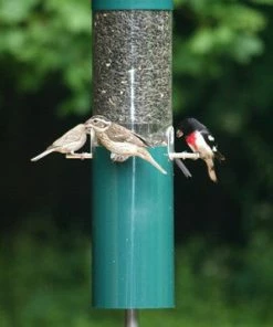 Birds Choice Classic Squirrel Proof Feeder W/Baffle & Pole Squirrel-Proof Feeders