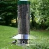 Birds Choice 20-Inch Classic Squirrel Proof Bird Feeder Squirrel-Proof Feeders 2 Birds Choice 20-Inch Classic Squirrel Proof Bird Feeder Squirrel-Proof Feeders