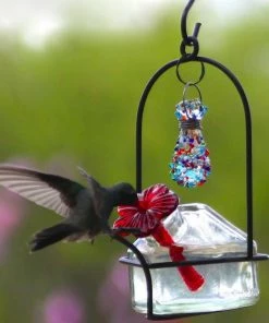 Parasol Hummingbird Feeders Bouquet Sparkle Hummingbird Feeder 11 Parasol Hummingbird Feeders Bouquet Sparkle Hummingbird Feeder