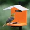 Birds Choice Recycled Pole Mount Oriole Feeder With Roof