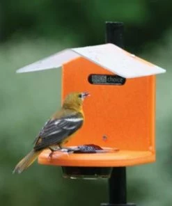 Birds Choice Recycled Pole Mount Oriole Feeder With Roof