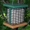 Songbird Essentials Recycled Birdhouses Double Suet Bird Feeder-Recycled