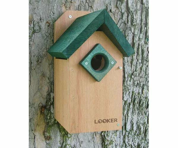Songbird Essentials Green Roof Bluebird House-NABS Approved 3 Songbird Essentials Green Roof Bluebird House-NABS Approved