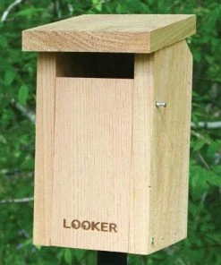 Songbird Essentials Bluebird House With Slot Entry-NABS Approved Bluebird Houses