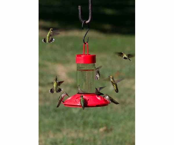 Songbird Essentials Dr. JB's Clean Hummingbird Feeder & Hummer Helmet 4 Songbird Essentials Dr. JB's Clean Hummingbird Feeder & Hummer Helmet