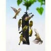 Songbird Essentials Thistle Feeders Finch Magic Thistle Sock - Jumbo