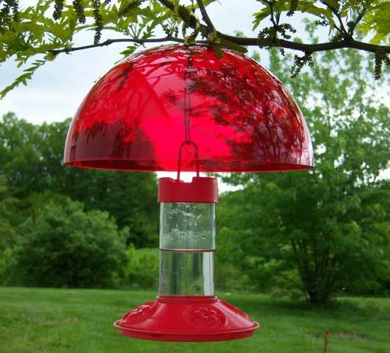 Songbird Essentials Dr. JB's Clean Hummingbird Feeder & Hummer Helmet 3 Songbird Essentials Dr. JB's Clean Hummingbird Feeder & Hummer Helmet