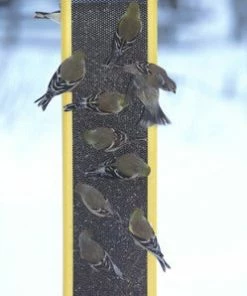 Birds Choice Recycled Nyjer Feeder Recycled Birdhouses