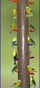 S&K Manufacturing Super Rainbow Finch Feeder Thistle Feeders