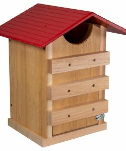 Songbird Essentials Screech Owl House Owl Houses