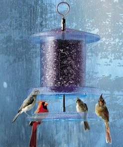 Songbird Essentials Songbird All-Weather Feeder 4 Or 6 Qt. Unique Bird Feeders