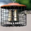 Hiatt Manufacturing Suet Feeders Squirrel Proof Double Suet Feeder