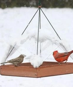Songbird Essentials Super Tray Bird Feeder With Cover Unique Bird Feeders