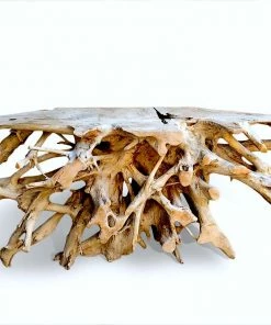 The Birdhouse Chick Teak Root Console Table Home & Garden Accents