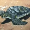 TileCraft Plaques, Stepping Stones & Wall Decor Sea Turtle Ceramic Tile 1 TileCraft Plaques, Stepping Stones & Wall Decor Sea Turtle Ceramic Tile