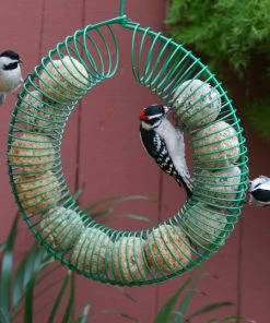Pine Bush Home & Garden Whole Peanut Wreath Feeder Peanut Feeders