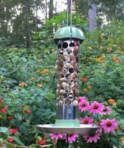 Pine Bush Home & Garden Stainless Steel Whole Peanut Bird Feeder Peanut Feeders