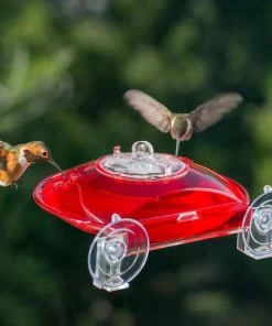 Droll Yankees Window Hummingbird Feeder Hummingbird Feeders