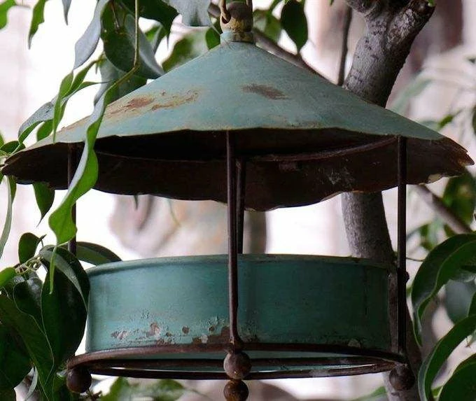 Peacock Park Birdie Buffet Rustic Hanging Feeder 4 Peacock Park Birdie Buffet Rustic Hanging Feeder